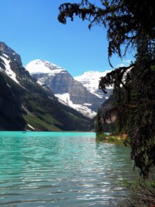 Photo by Andy Dawson Reid