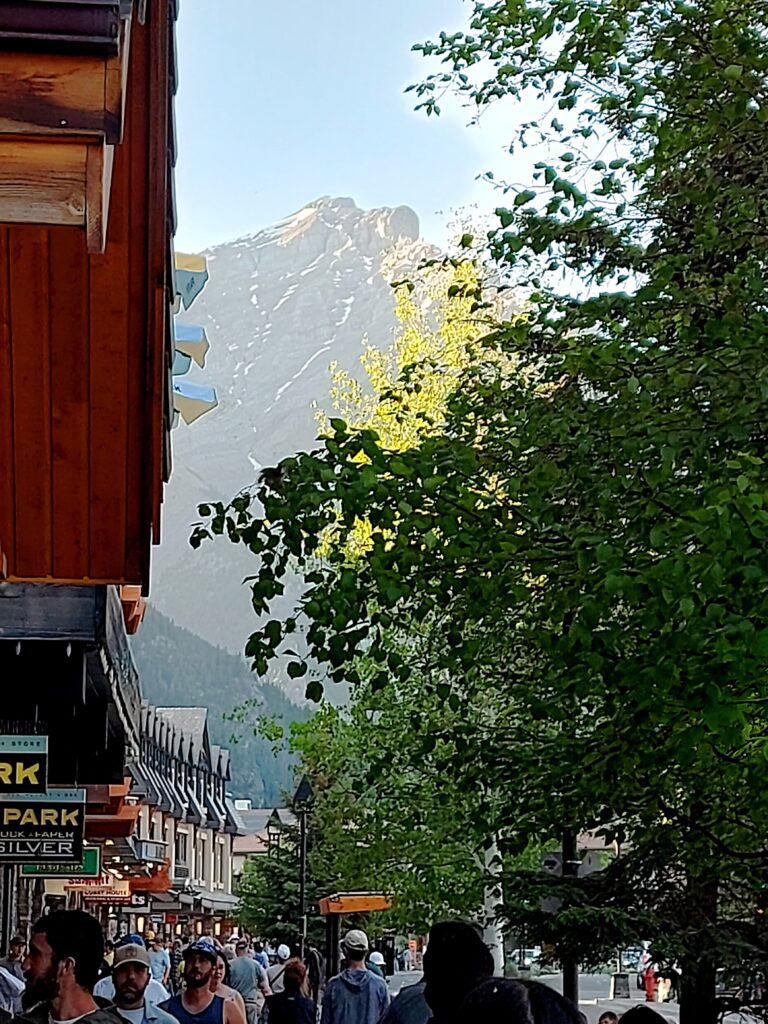 Photo by Andy Dawson Reid