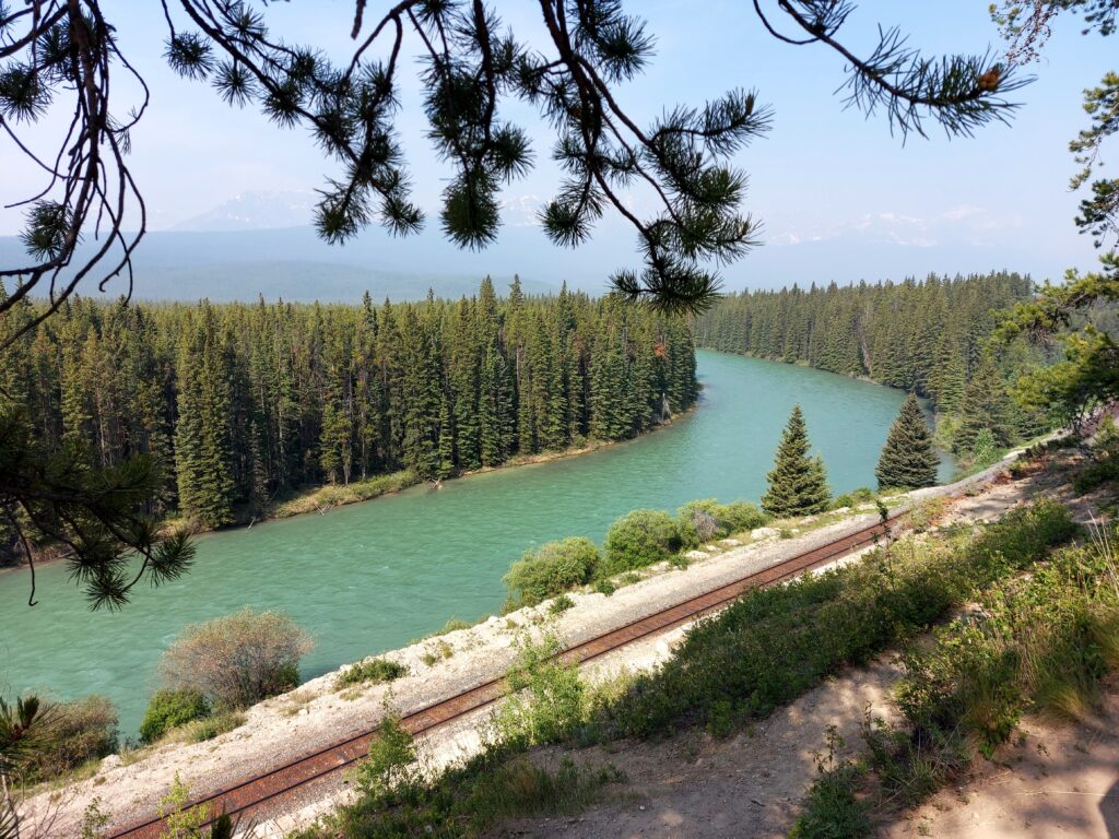  Photo by Andy Dawson Reid