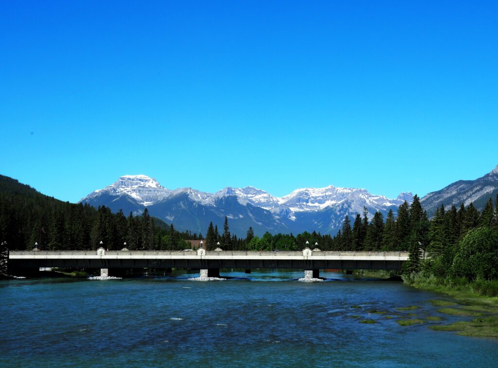 Photo by Andy Dawson Reid