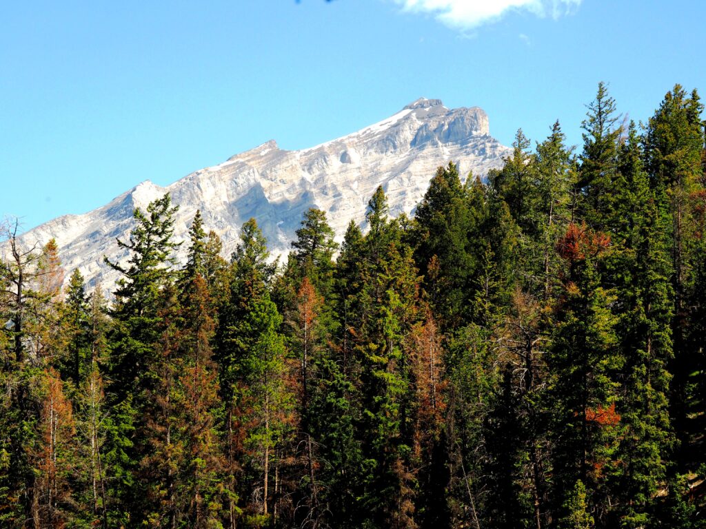 Photo by Andy Dawson Reid