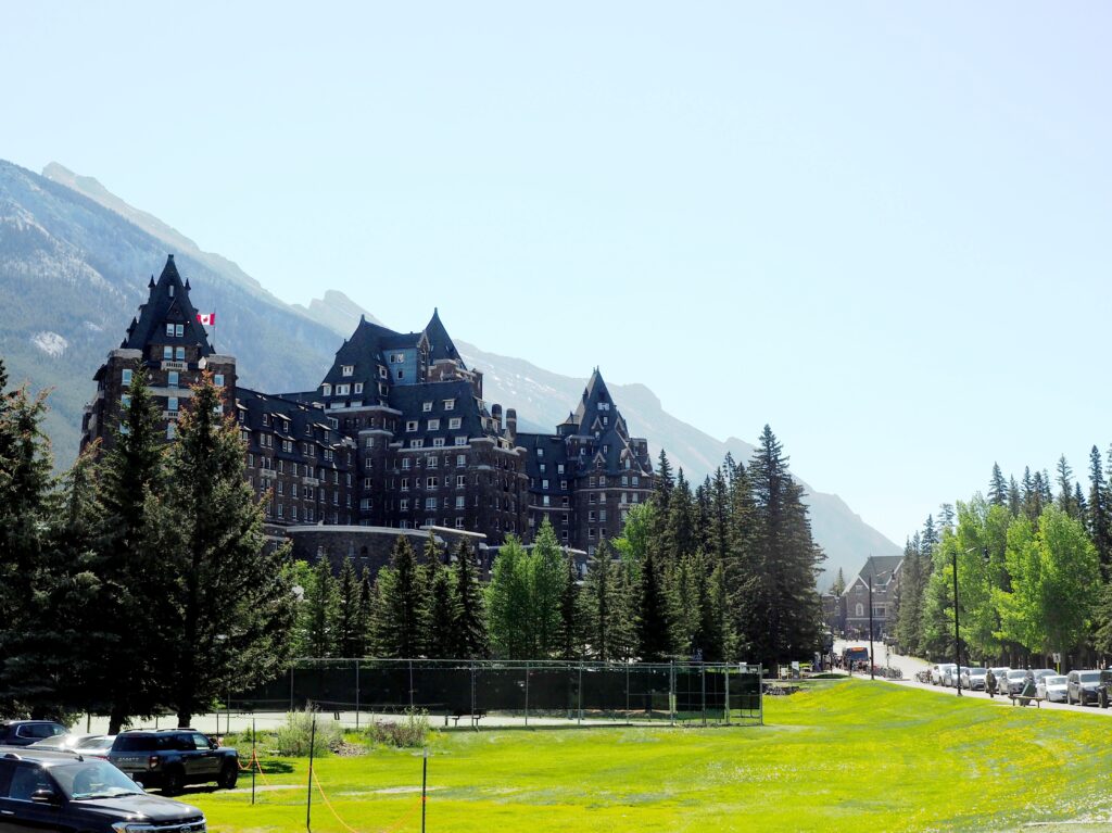 Photo by Andy Dawson Reid