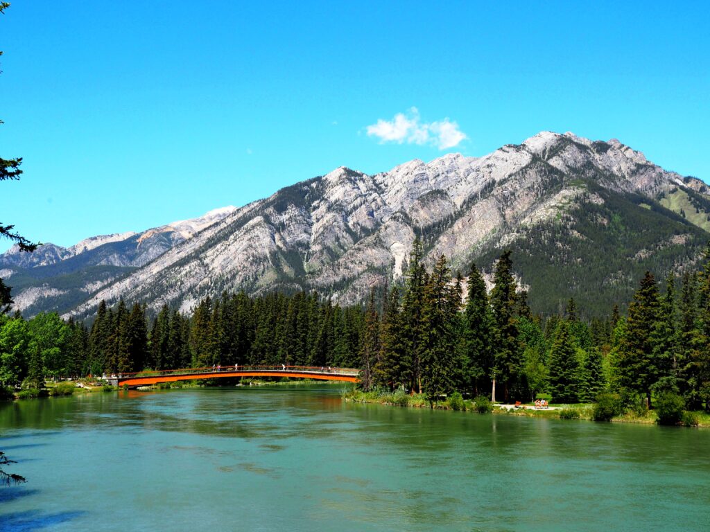 Photo by Andy Dawson Reid