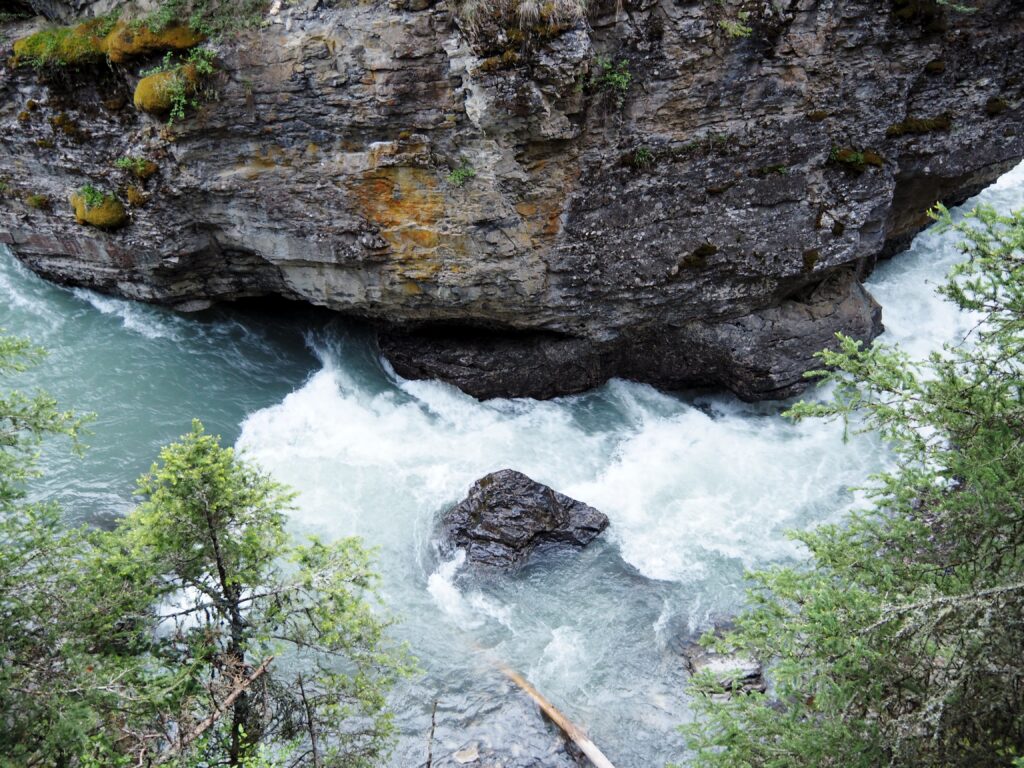 Photo by Andy Dawson Reid