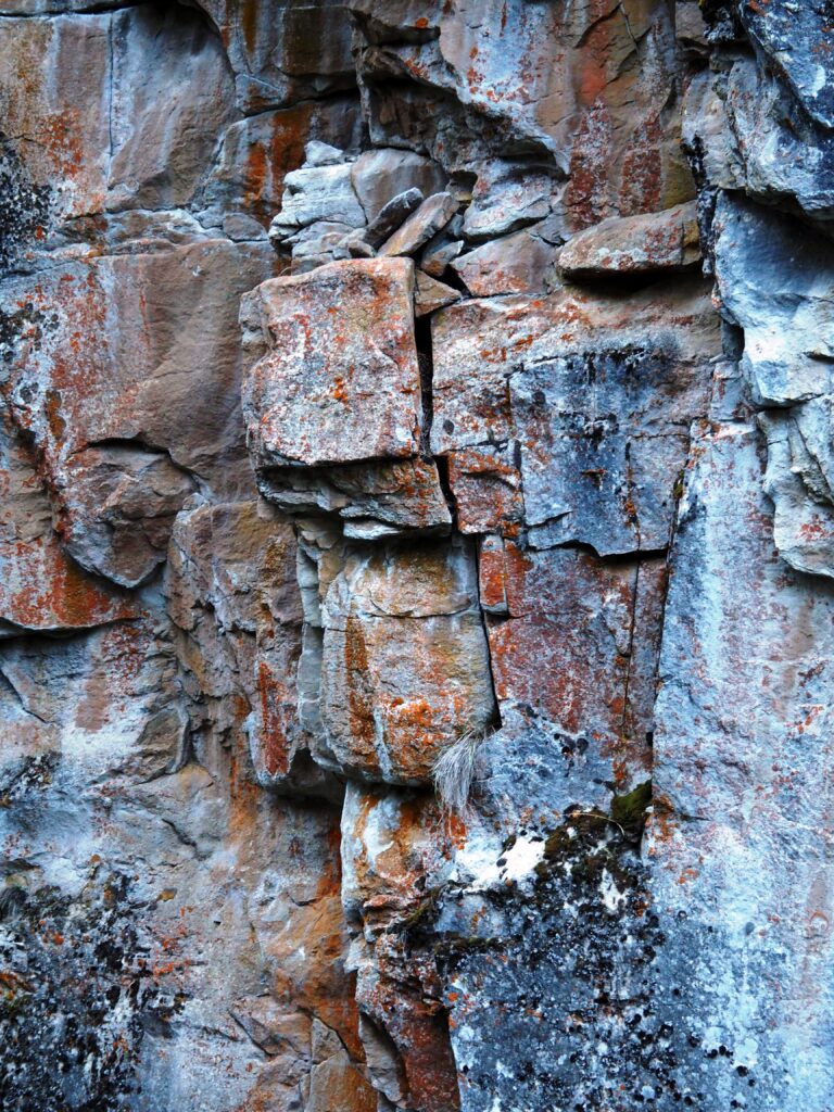 Photo by Andy Dawson Reid