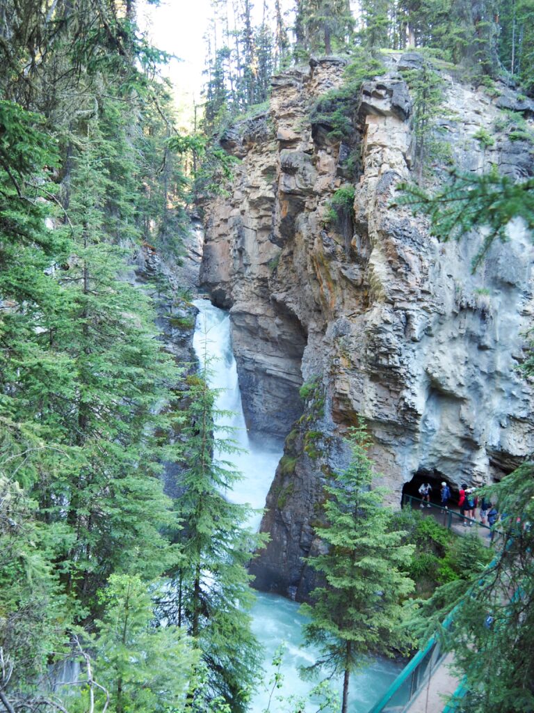 Photo by Andy Dawson Reid