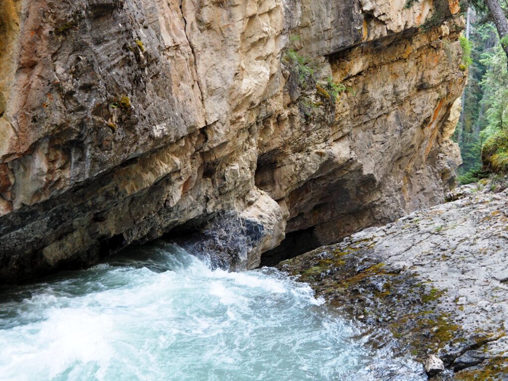 Photo by Andy Dawson Reid