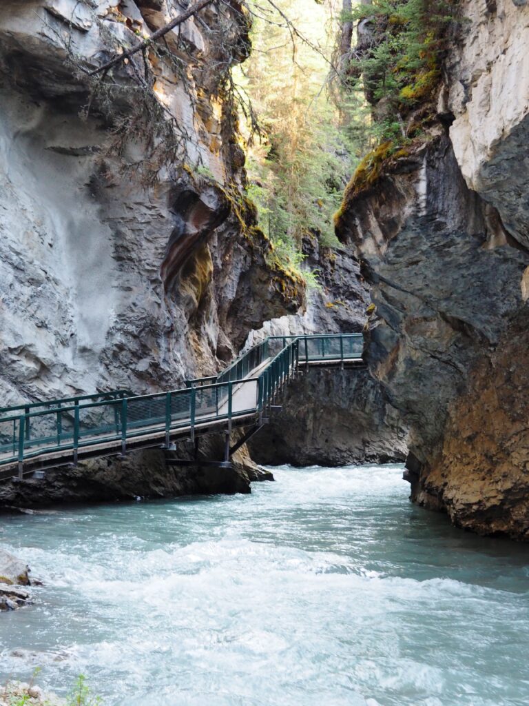 Photo by Andy Dawson Reid