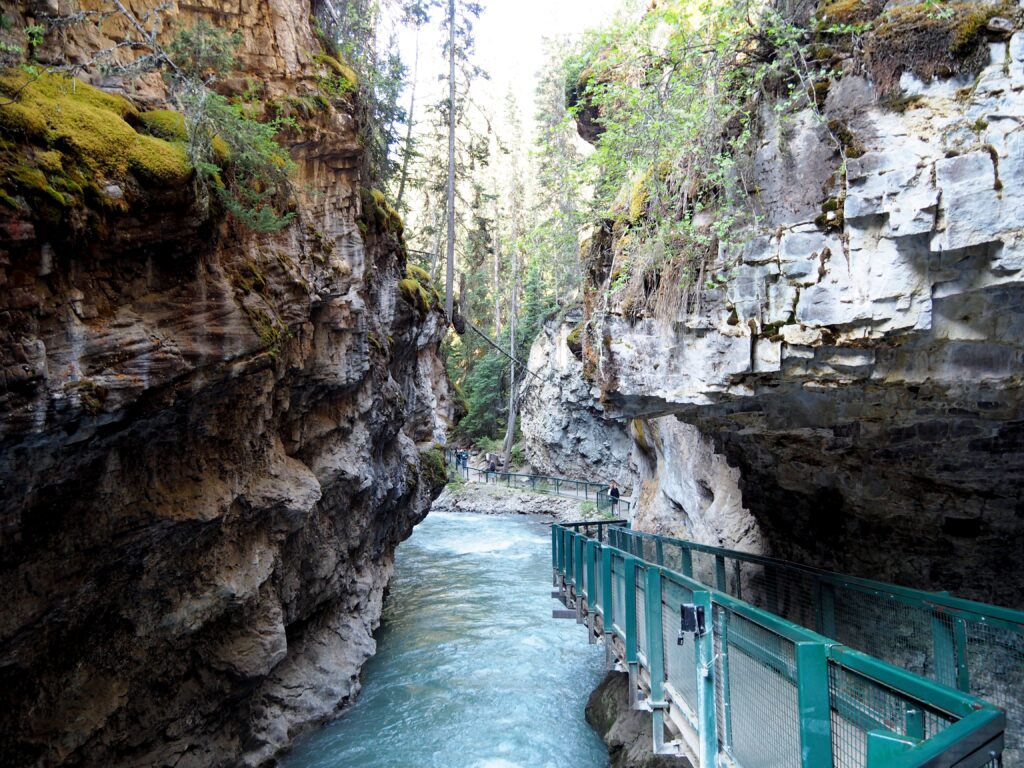 Photo by Andy Dawson Reid