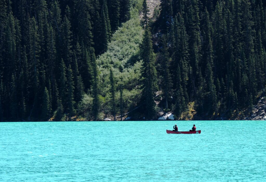 Photo by Andy Dawson Reid