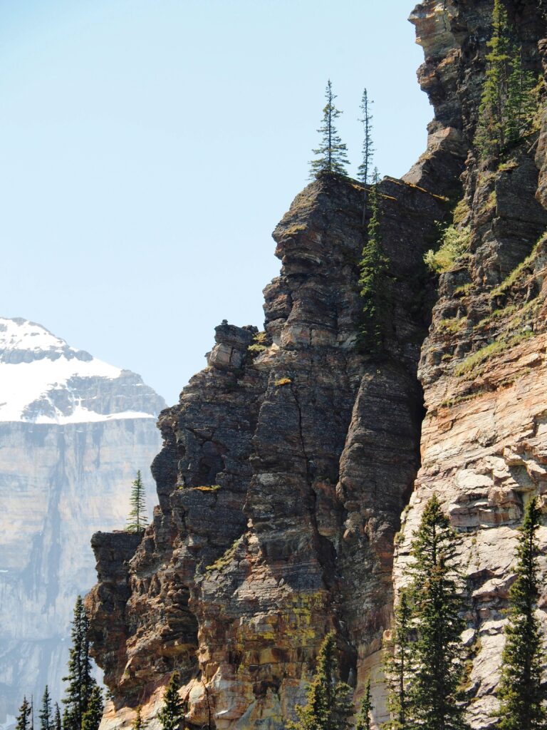 Photo by Andy Dawson Reid