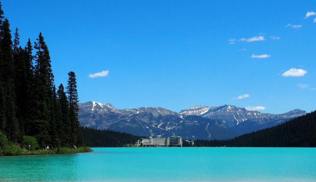 Photo by Andy Dawson Reid