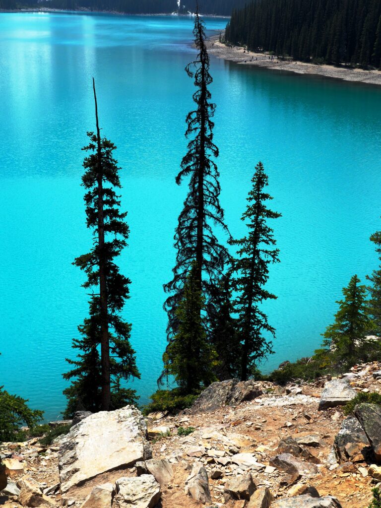 Photo by Andy Dawson Reid