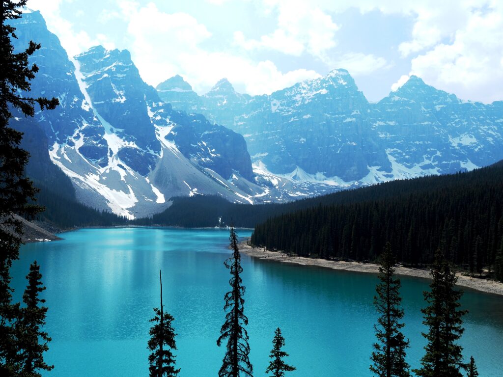 Photo by Andy Dawson Reid