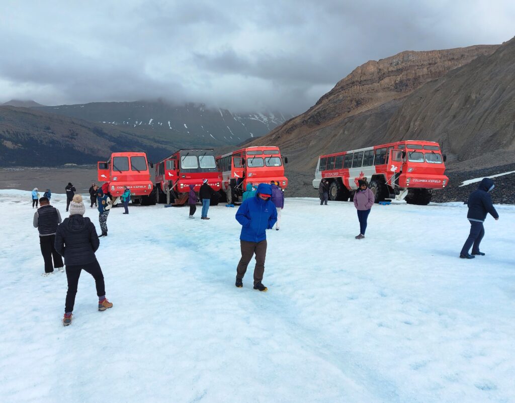 Photo by Andy Dawson Reid