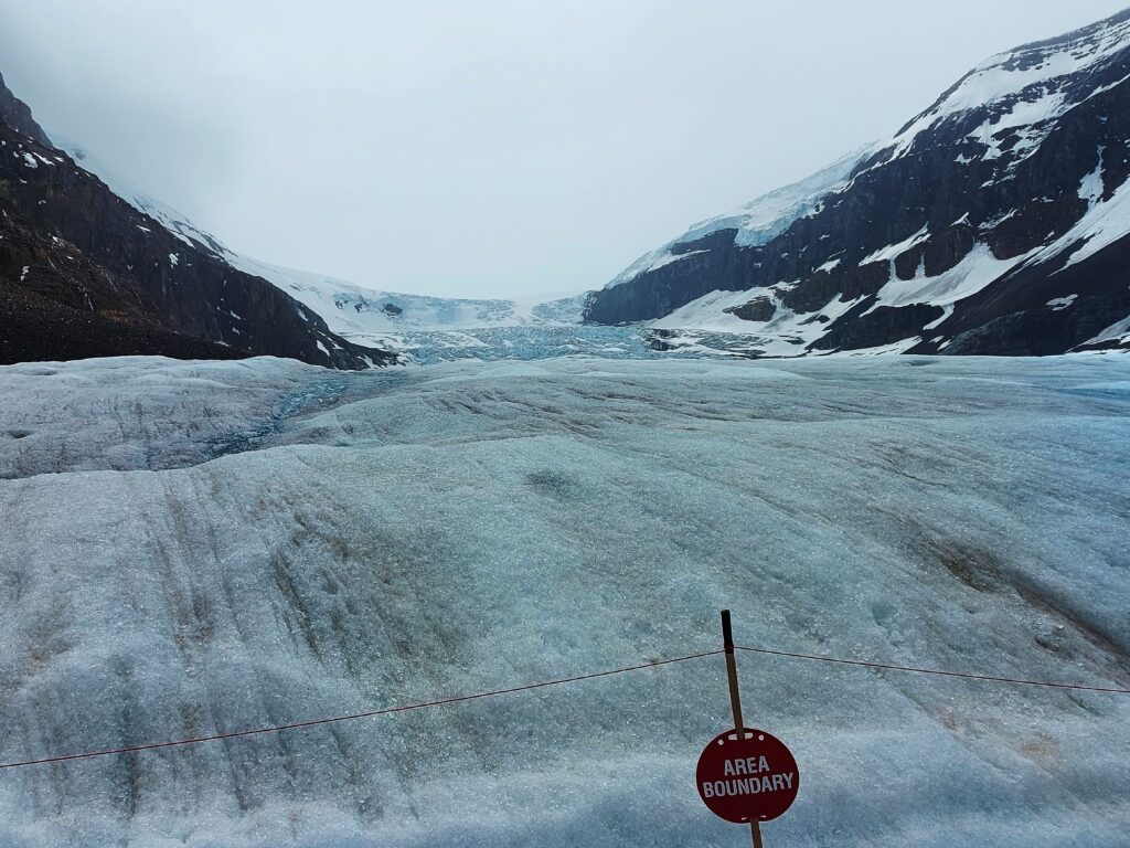 Photo by Andy Dawson Reid