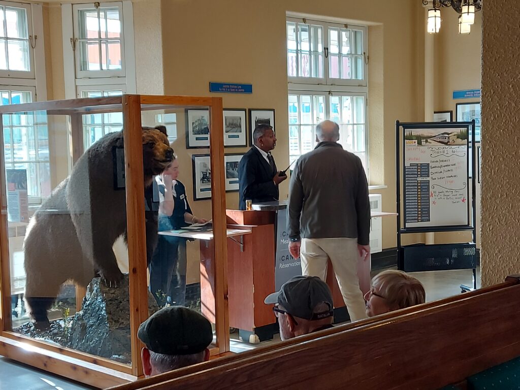 Photo by Andy Dawson Reid