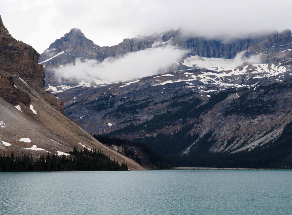 Photo by Andy Dawson Reid