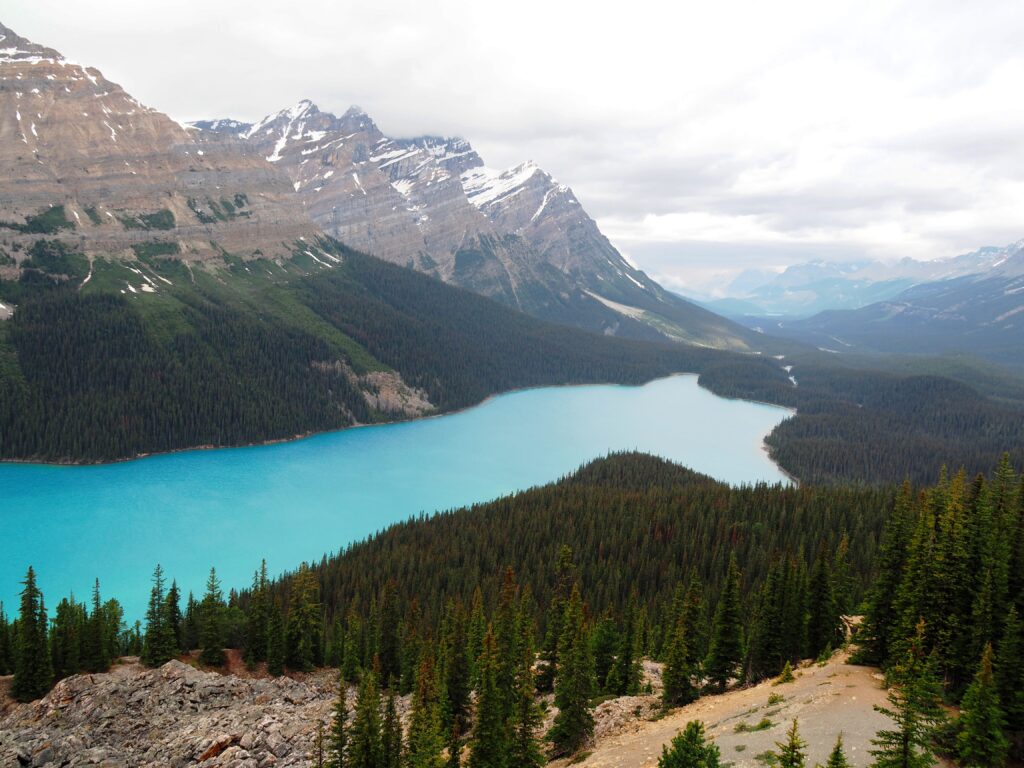 Photo by Andy Dawson Reid