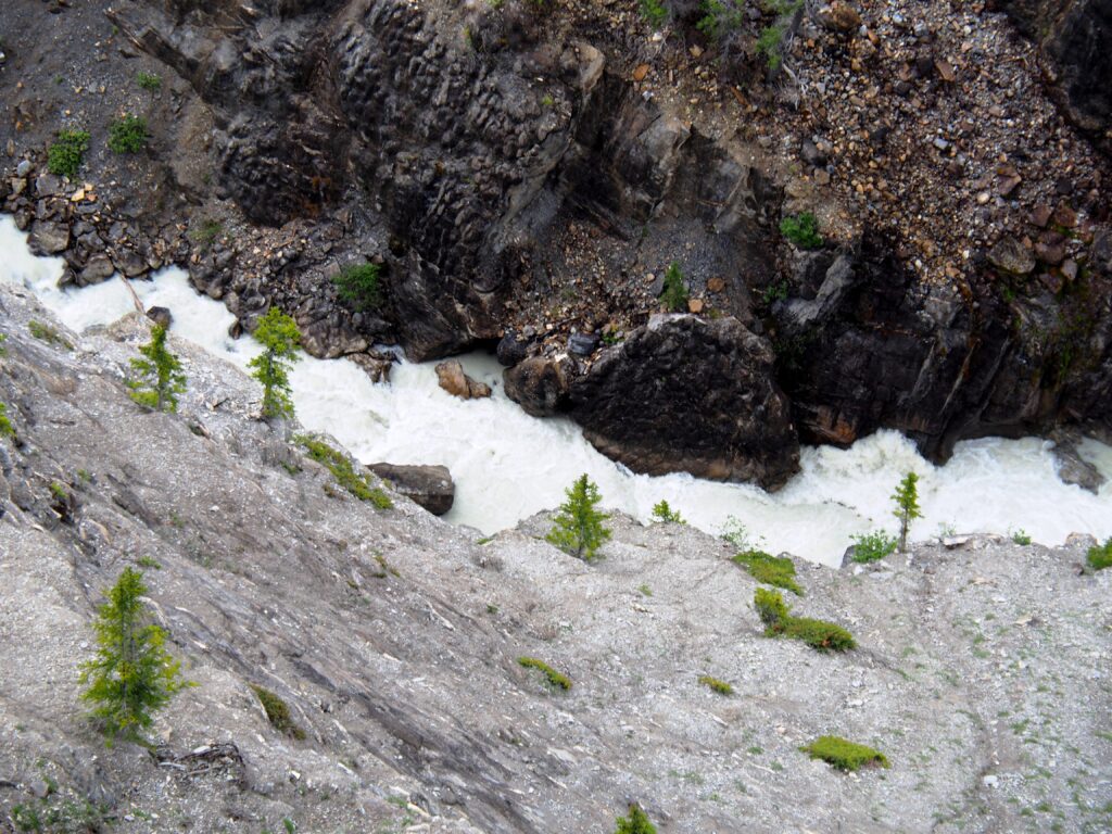 Photo by Andy Dawson Reid