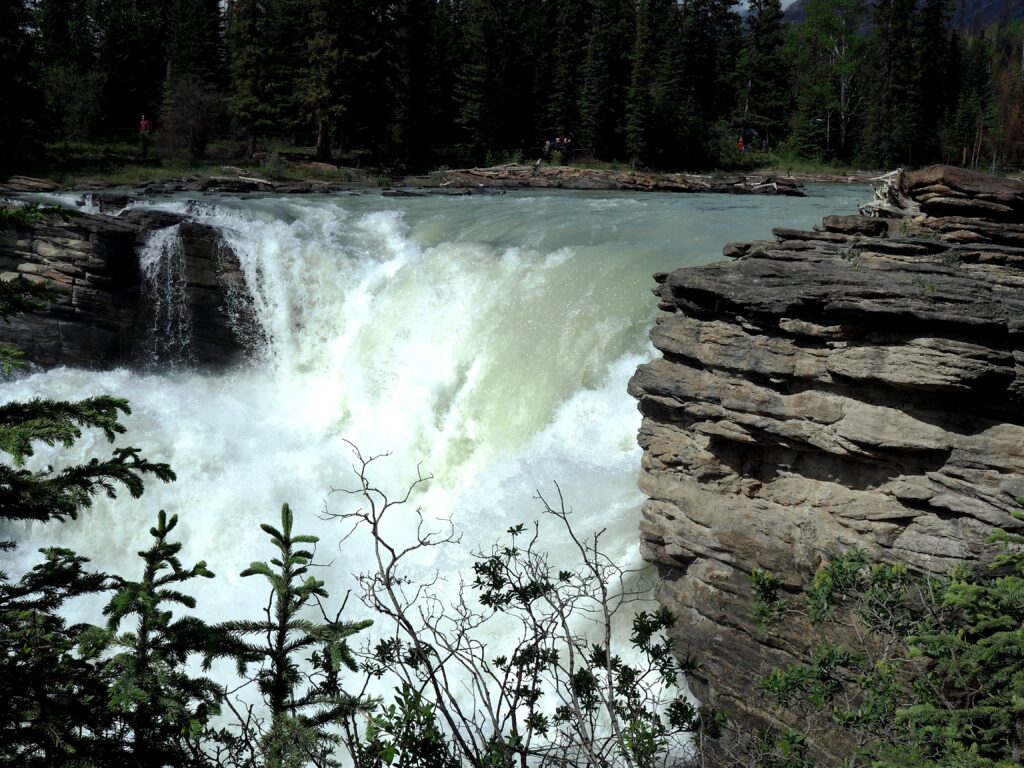 Photo by Andy Dawson Reid