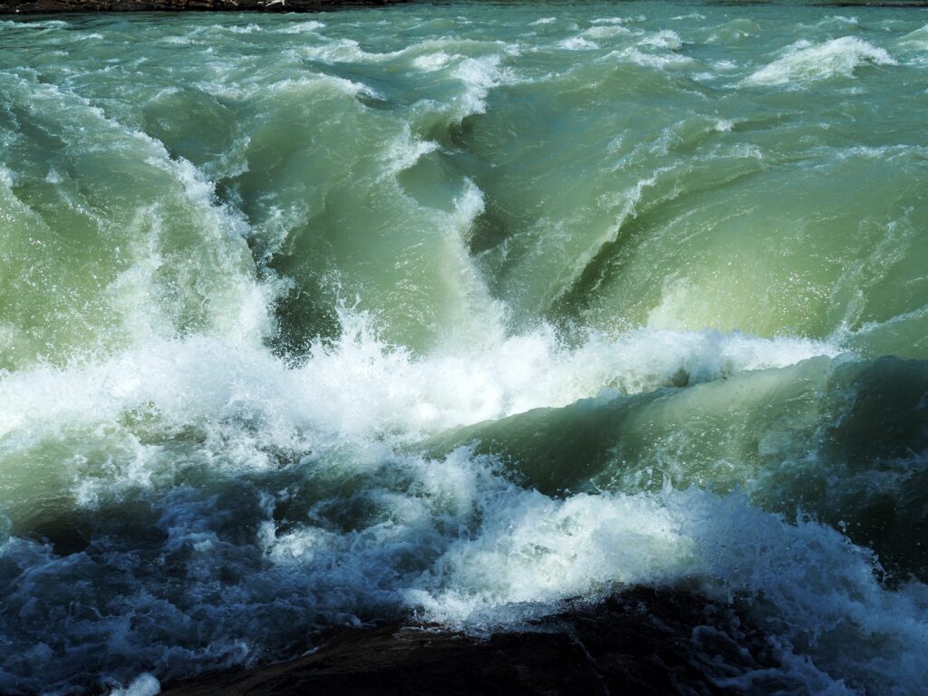 Photo by Andy Dawson Reid