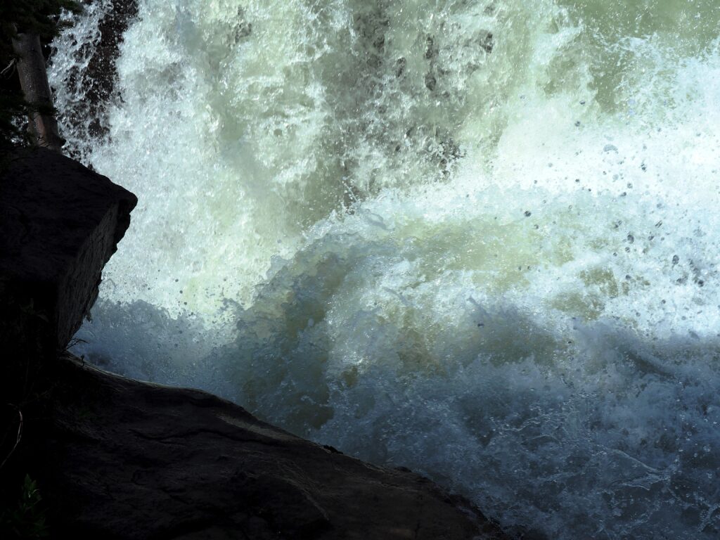 Photo by Andy Dawson Reid