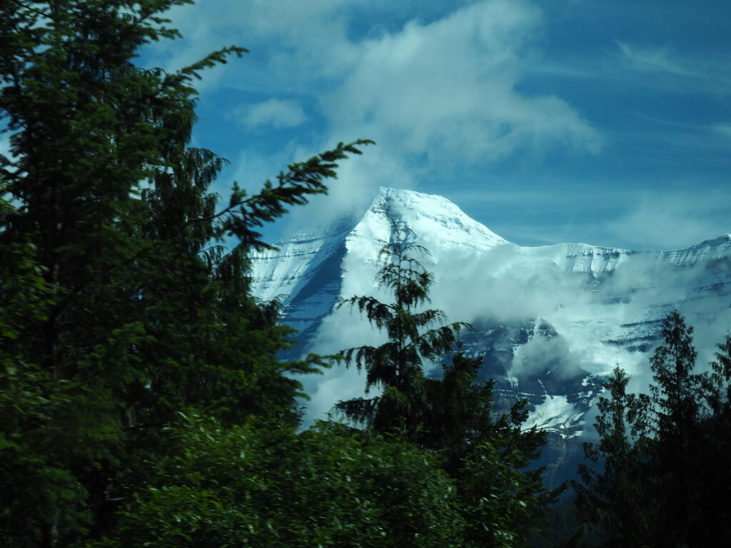 Photo by Andy Dawson Reid