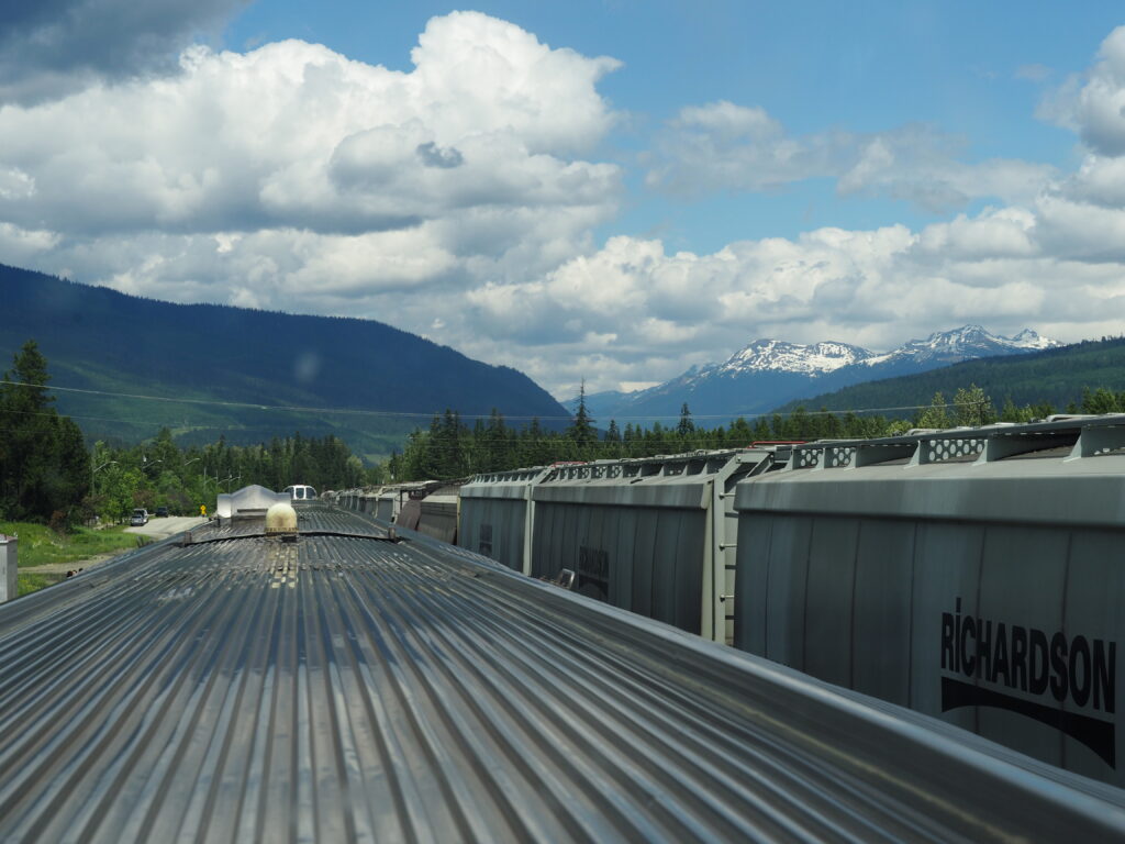 Photo by Andy Dawson Reid