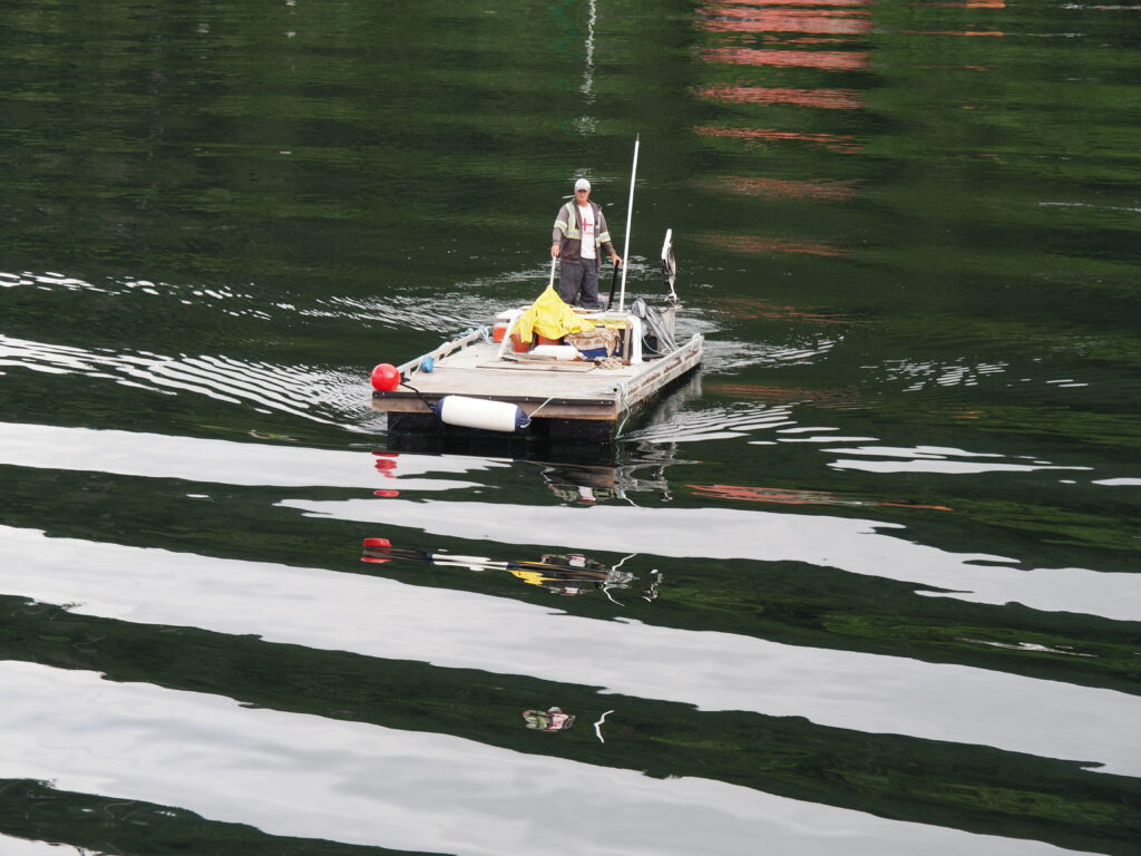 Photo by Andy Dawson Reid