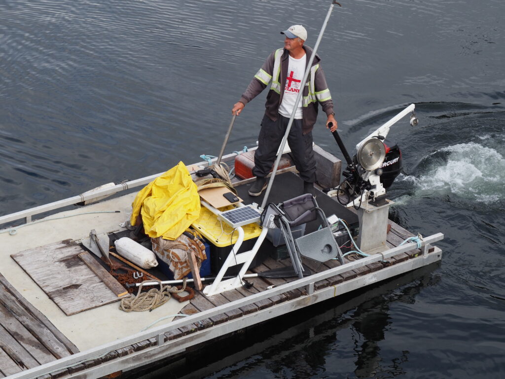 Photo by Andy Dawson Reid