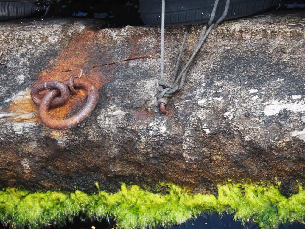 Photo by Andy Dawson Reid