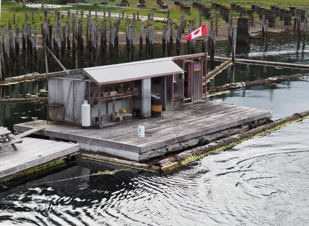 Photo by Andy Dawson Reid