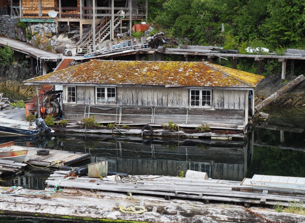 Photo by Andy Dawson Reid