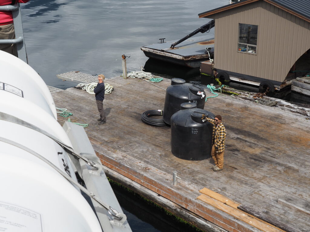 Photo by Andy Dawson Reid