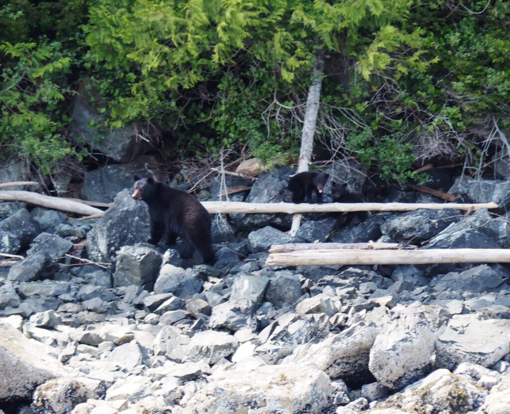 Photo by Andy Dawson Reid