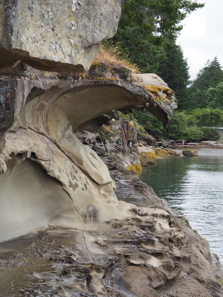 Photo by Andy Dawson Reid