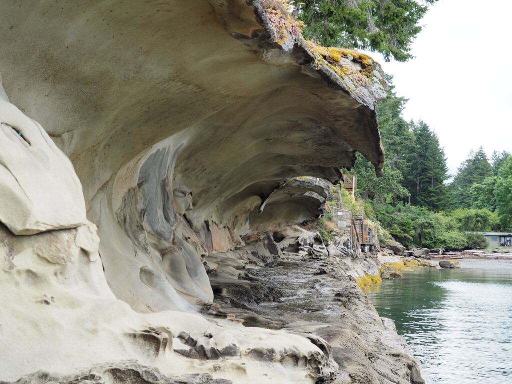 Photo by Andy Dawson Reid