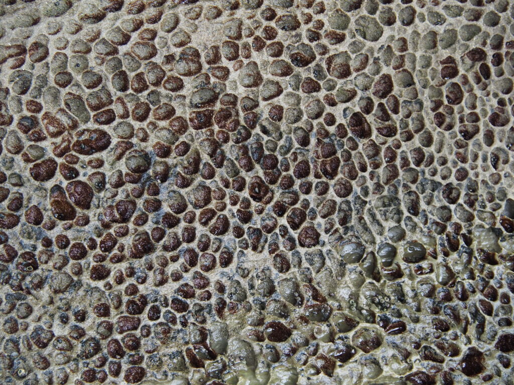 Photo by Andy Dawson Reid