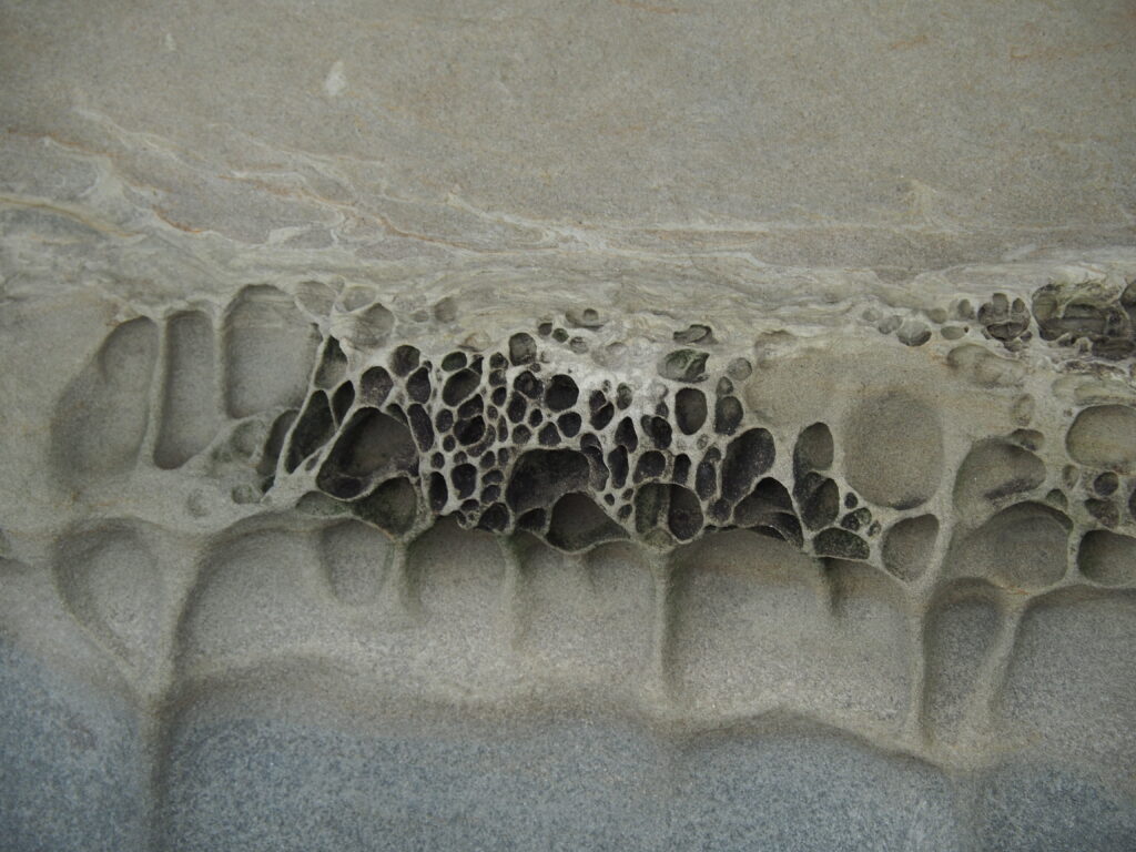 Photo by Andy Dawson Reid