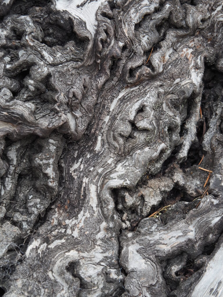 Photo by Andy Dawson Reid