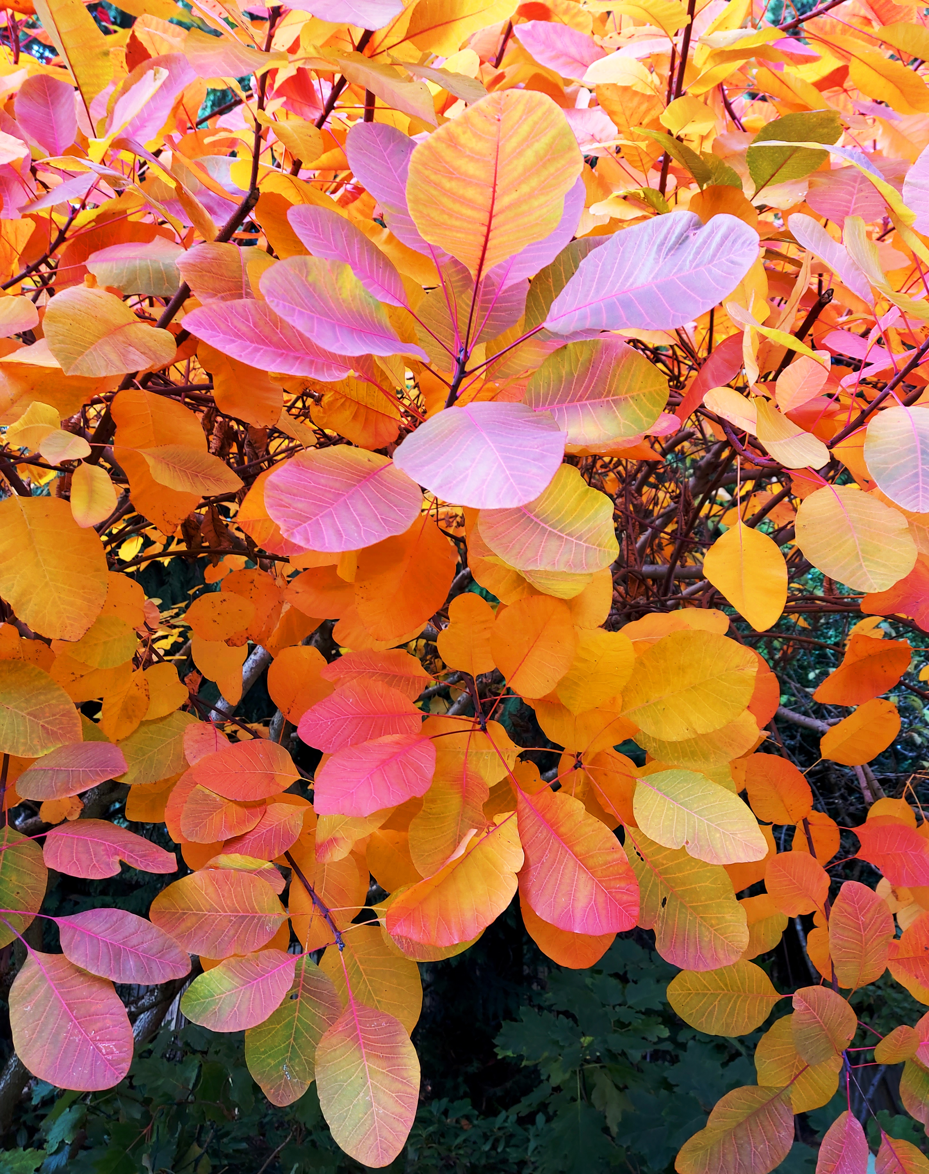 Photo by Andy Dawson Reid Photo by Andy Dawson Reid