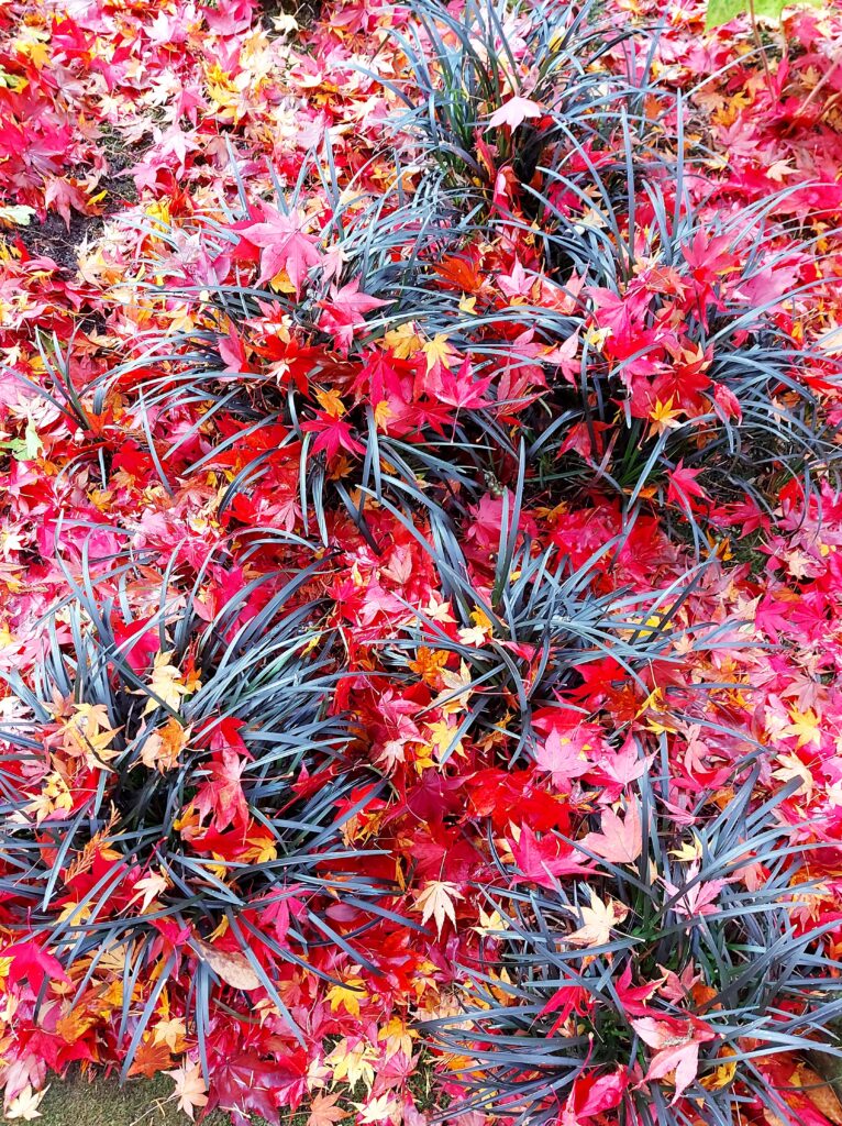 Photo by Andy Dawson Reid Photo by Andy Dawson Reid