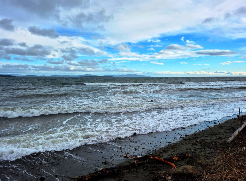 Photo by Andy Dawson Reid