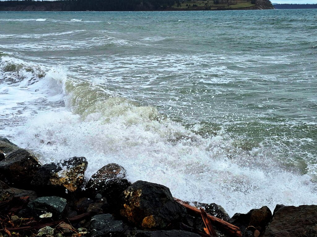 Photo by Andy Dawson Reid