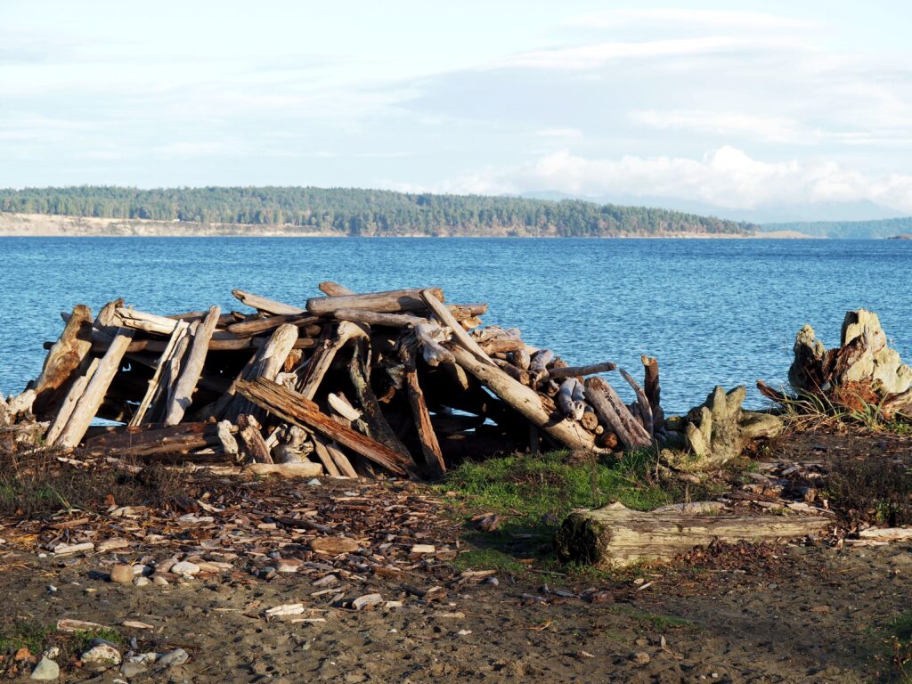 Photo by Andy Dawson Reid