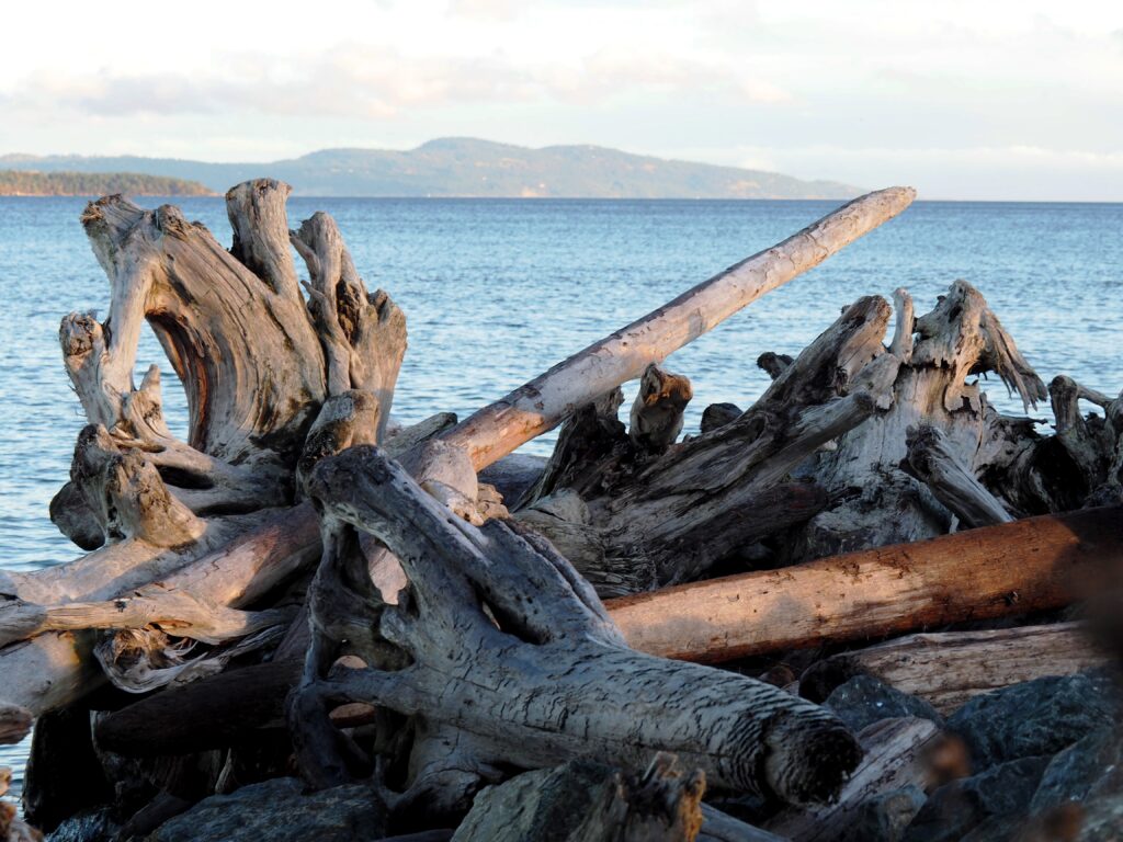 Photo by Andy Dawson Reid