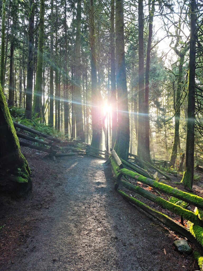 Photo by Andy Dawson Reid