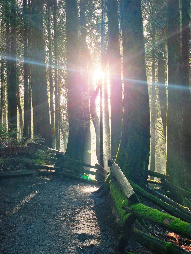 Photo by Andy Dawson Reid