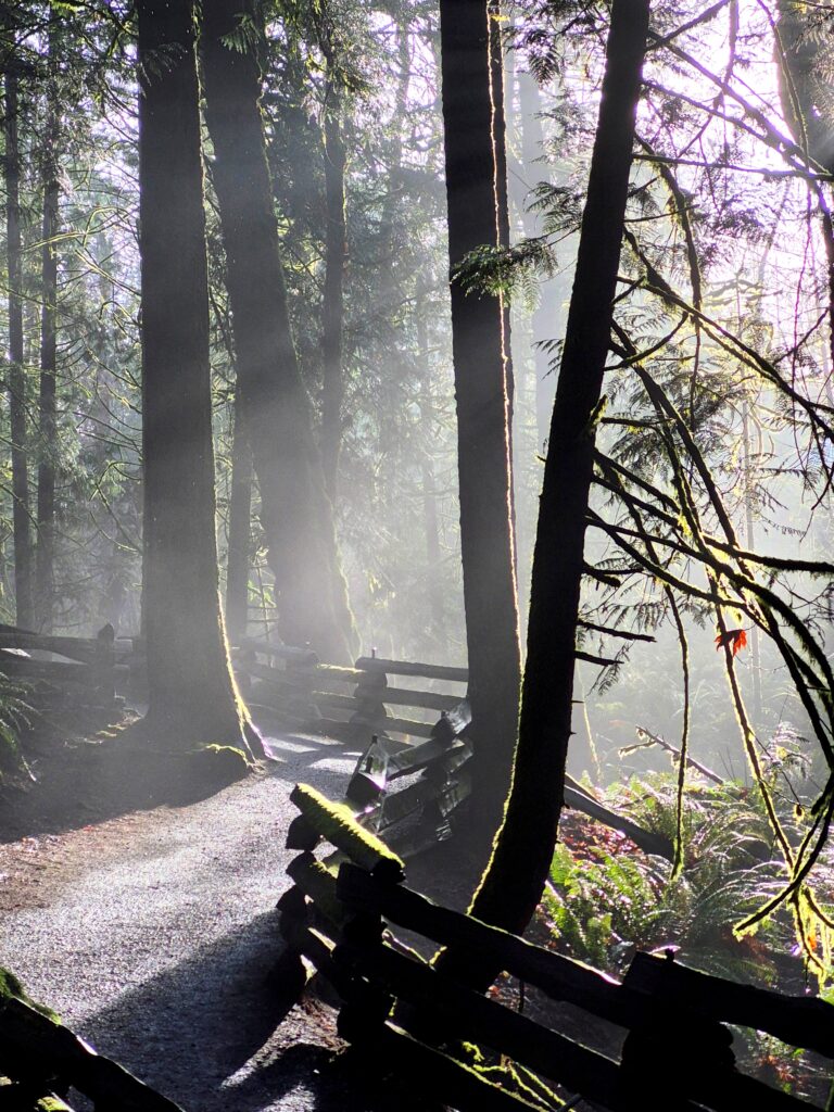 Photo by Andy Dawson Reid